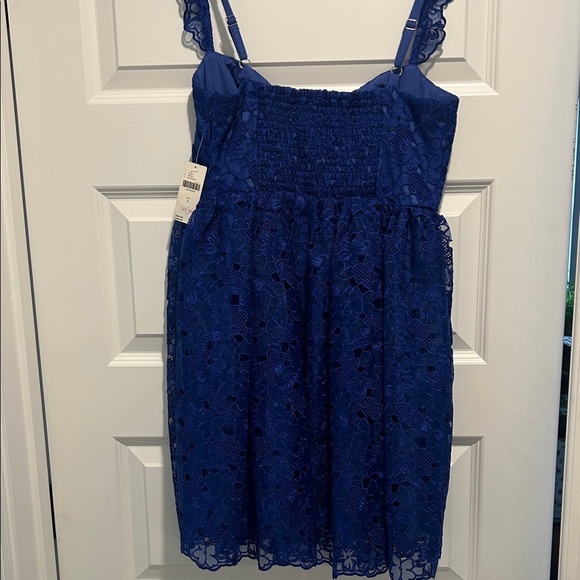 NWT Anthropologie Blue Lace Sleeveless Dress - Picture 8 of 8